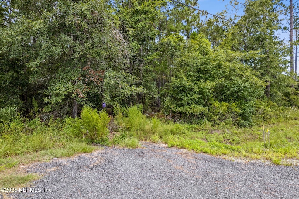 0 State Road 107 & Ward Rd, Fernandina Beach, FL 32034 - photo 1