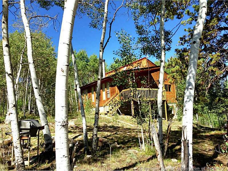 533 Superstition Trail, Hartsel, CO 80449 - photo 1