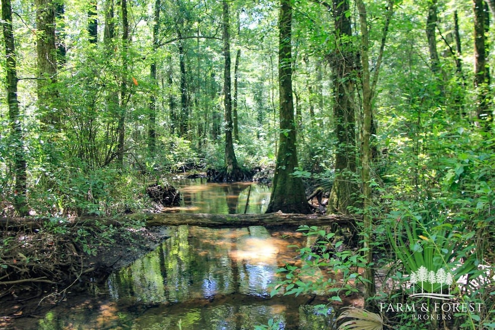 Coates Road (Off), Bonifay, FL 32425 - photo 1