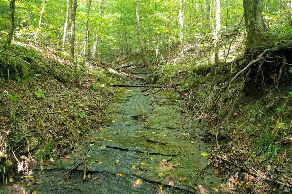 2427 Hurricane Creek Rd, Linden, TN 37096 - photo 1