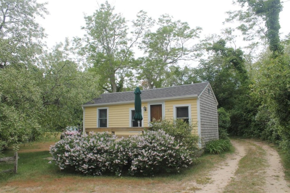 Primary Photo