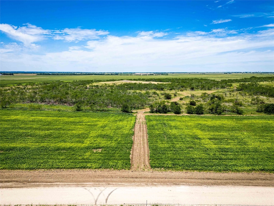 36.5 Ac. Alexander Rd, Moody, TX 76557 - photo 1