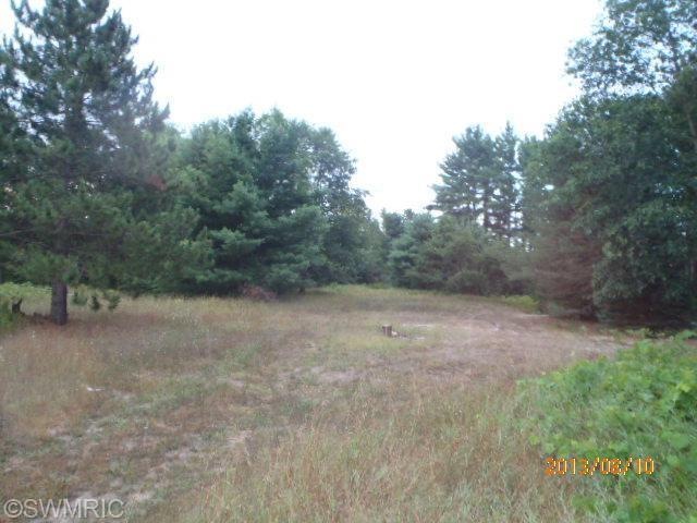 8685 Kaleva St, Kaleva, MI 49645 - photo 1