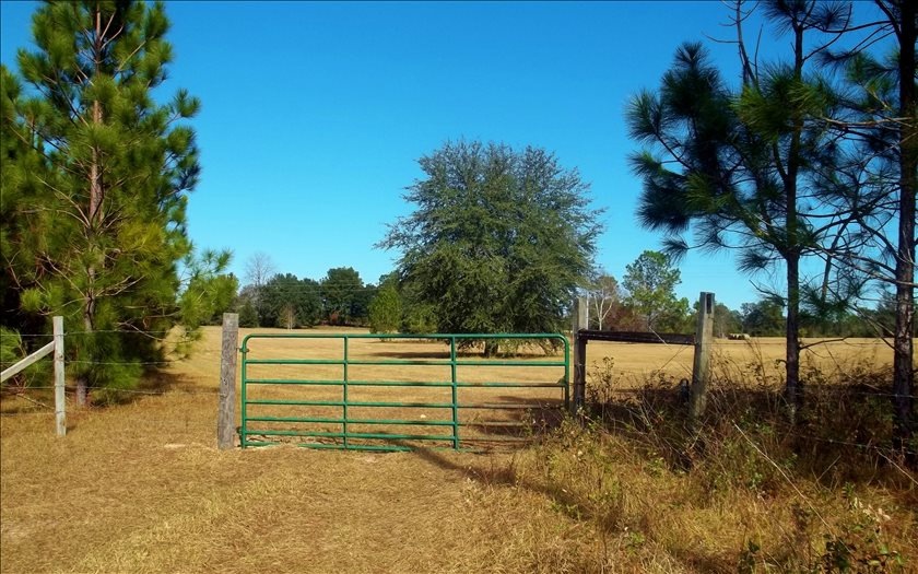 1357 SW Wilson Springs Rd, Fort White, FL 32038 - photo 1