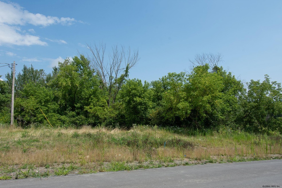 71 Miller Rd, Slingerlands, NY 12159 - photo 1