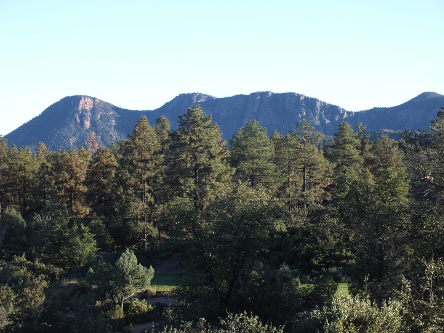 Granite Dell Views