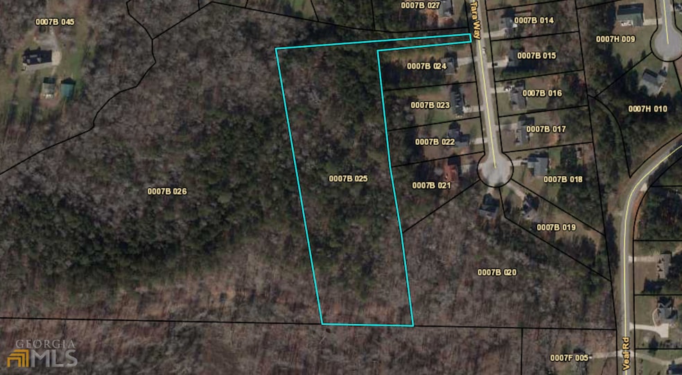 100 Tara Way, Oak Hill, GA 30016 - photo 1