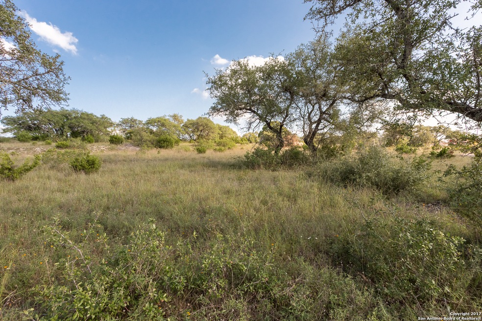 23106 Casey Canyon, San Antonio, TX 78255 - photo 1