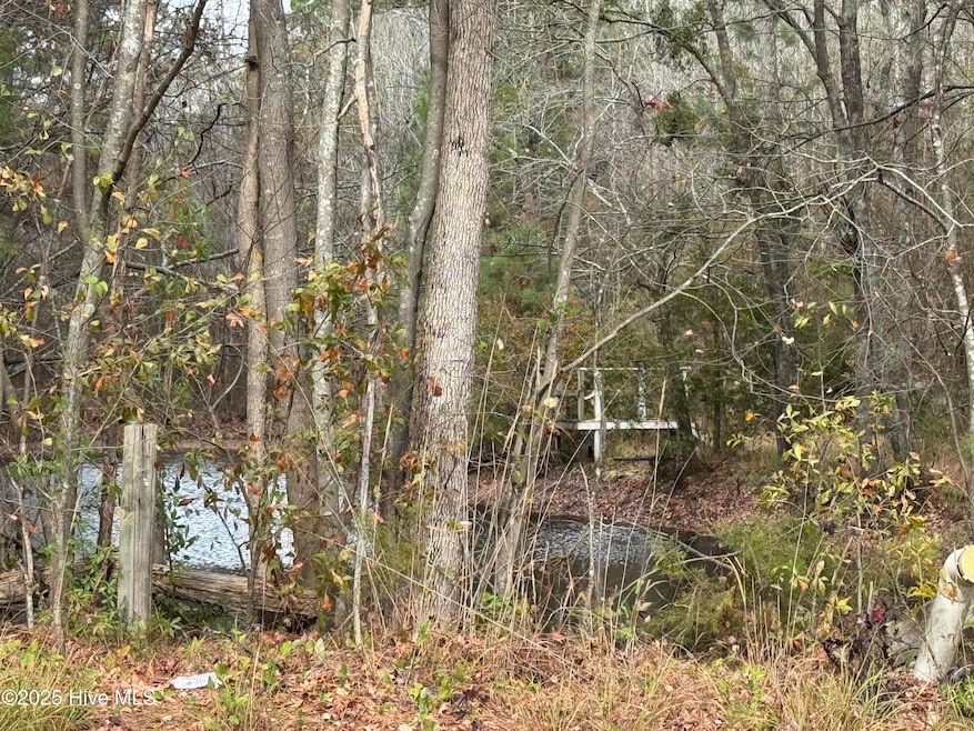 0 Boyd Lake Rd, Hamlet, NC 28345 - photo 1