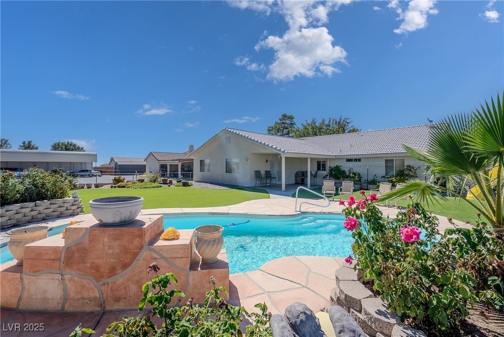 2501 Mallard Ave, Pahrump, NV 89048 - photo 1