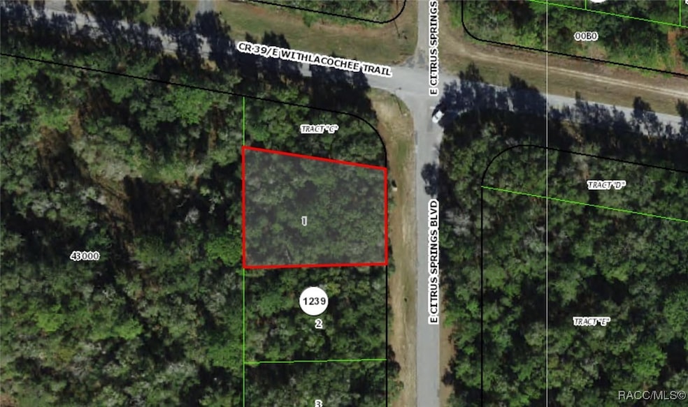 2177 E Citrus Springs Blvd, Dunnellon, FL 34434 - photo 1