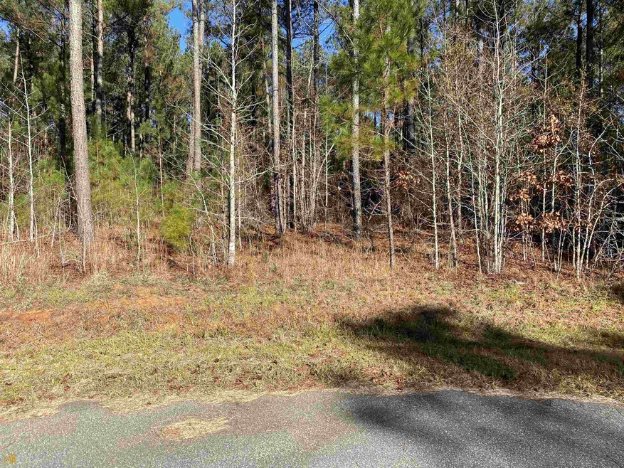 0 Dock Side Ln unit LOT 111 PHASE C, Lincolnton, GA 30817 - photo 1