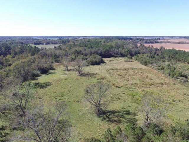 88.2 acr Ione Rd, Pavo, GA 31778 - photo 1