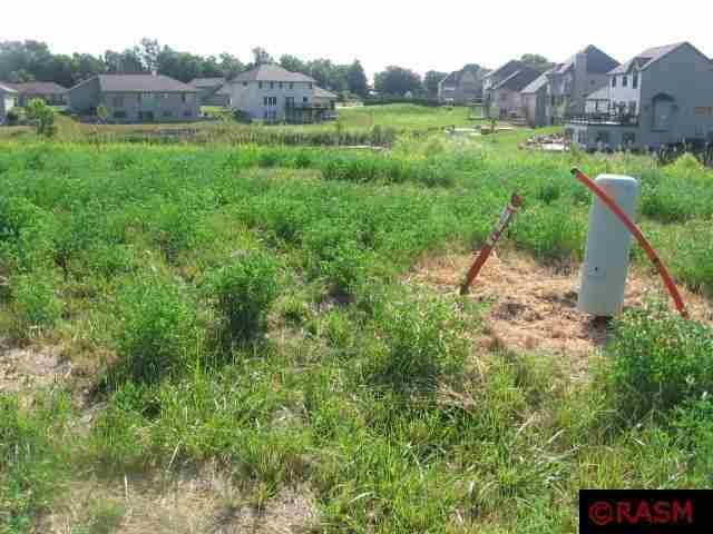 101 Autumn Blaze Ct, Mankato, MN 56001 - photo 1