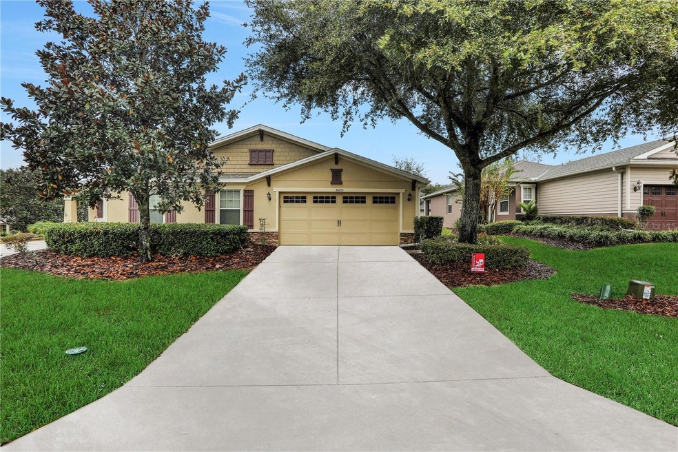 30705 Lipizzan Terrace, Mount Dora, FL 32757 - photo 1