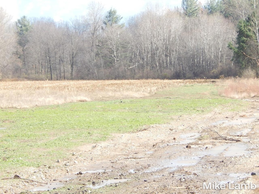 9340-4 Sparta Ave NW, Sparta, MI 49345 - photo 1