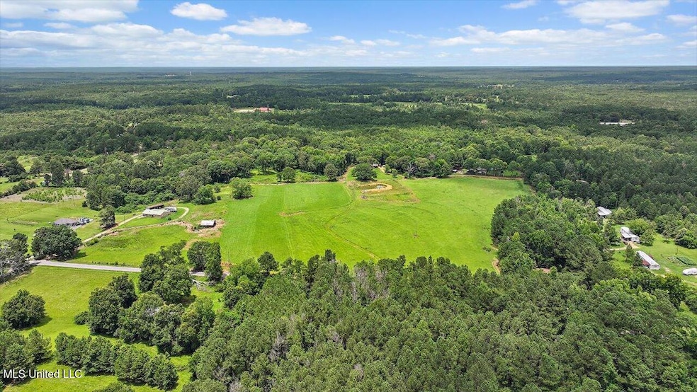 0 James Boyakin Barnett Rd, Mendenhall, MS 39114 - photo 1