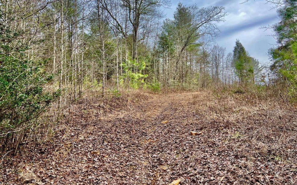 1029 Pleasant Hill Rd, Ellijay, GA 30540 - photo 1