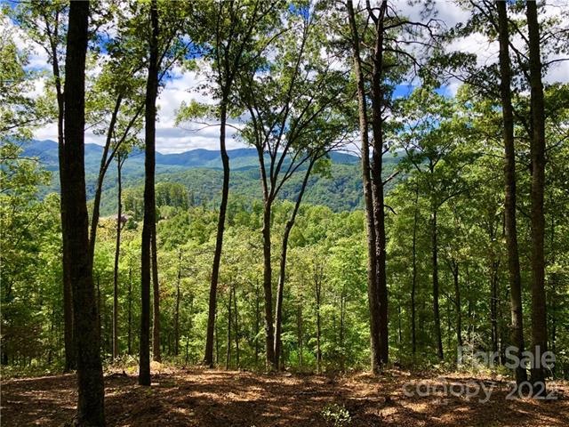 Homesite 22 in The Bluffs at French Broad Crossing