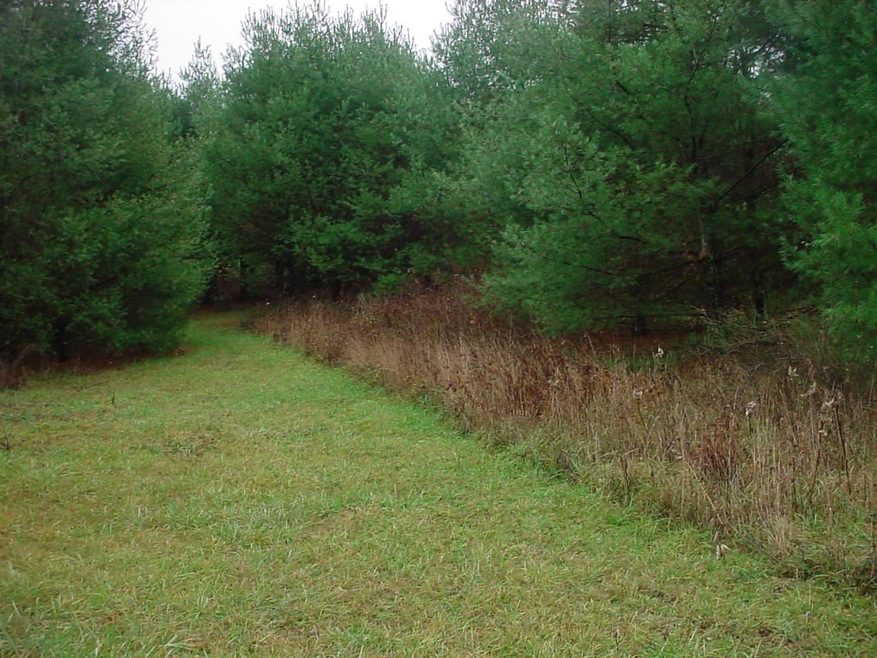 Acreage