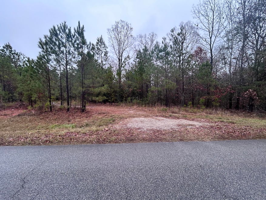 1956 Piney Woods Rd, Lincolnton, GA 30817 - photo 1