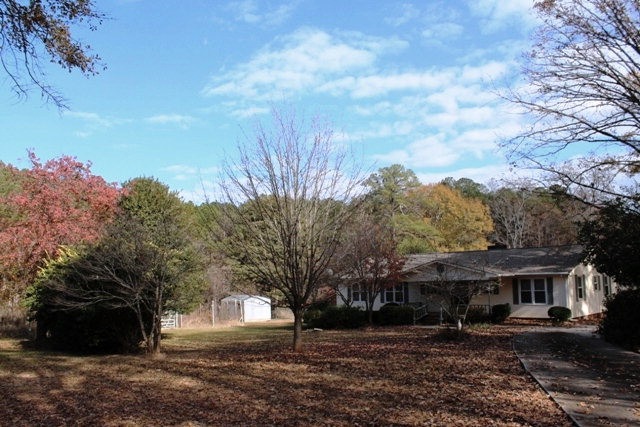 Main View