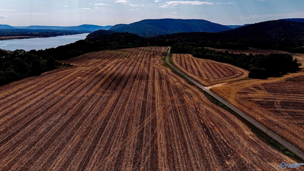 26 Vaughn Rd, Arab, AL 35754 - photo 1