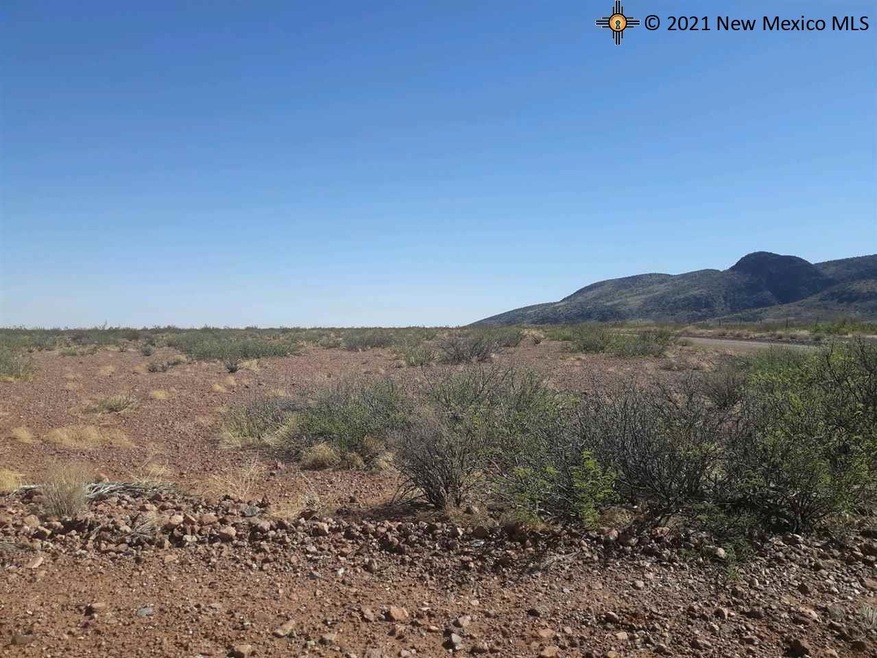 0000 Lewis Flats Rd SE, Deming, NM 88030 - photo 1
