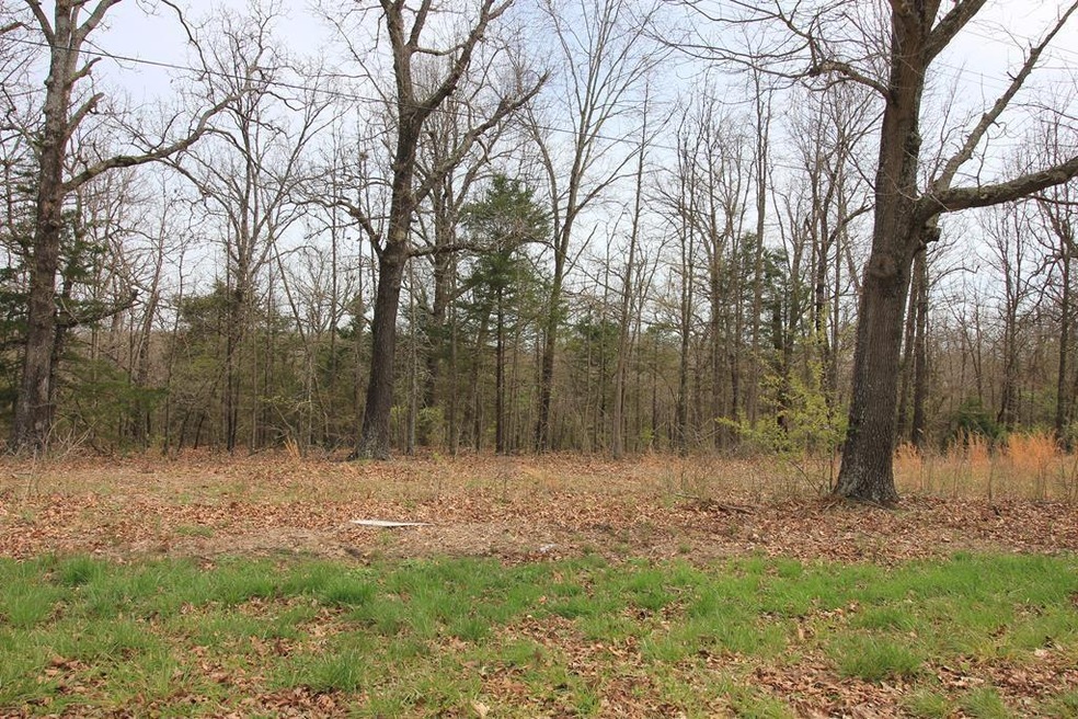 Lot 3 E Ar Hwy 264, Lowell, AR 72745 - photo 1