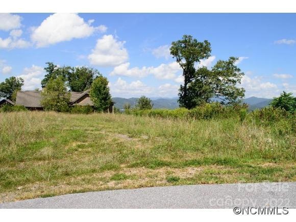 5 Red Tail Ridge Rd unit 54, Asheville, NC 28806 - photo 1