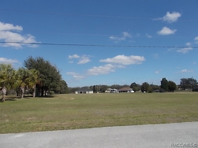 813 E Bismark St, Hernando, FL 34442 - photo 1
