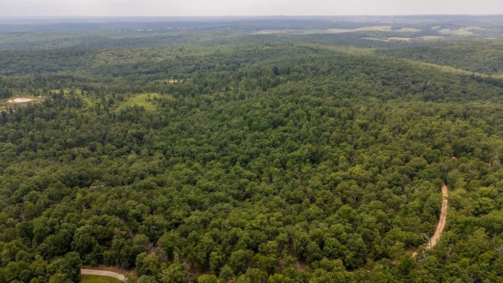 000 Highway Y, Elk Creek, MO 65464 - photo 1