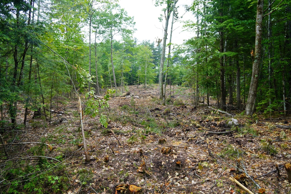 land1