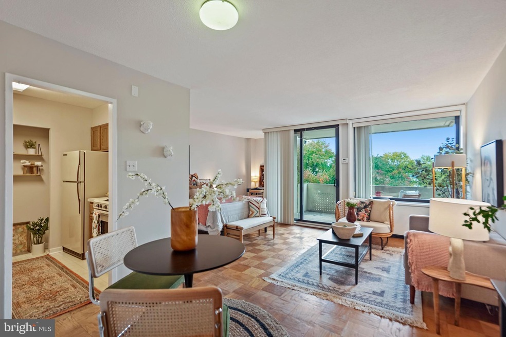 Tiber Island unit N-400, Washington, DC 20024 - photo 1