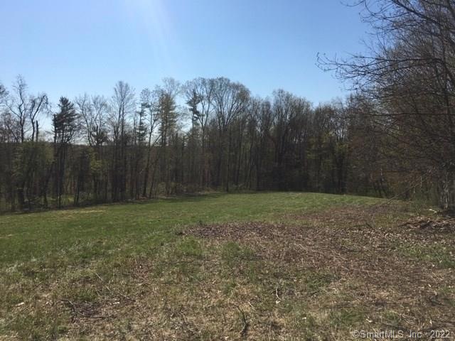 Lot 4 Old Litchfield Turnpike, Oxford, CT 06478 - photo 1