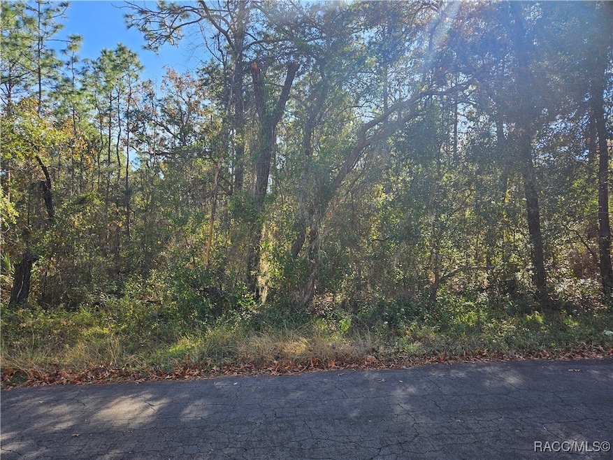 296 E Foster Ct, Lecanto, FL 34461 - photo 1