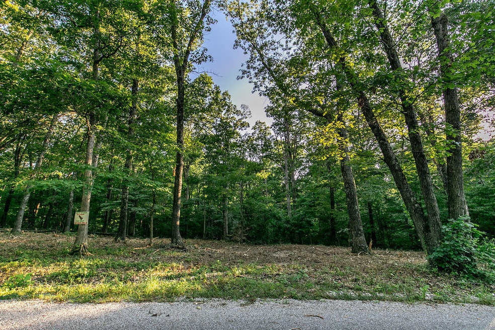Lot 5 Ph 2 Misty River Subdivision, Nixa, MO 65714 - photo 1