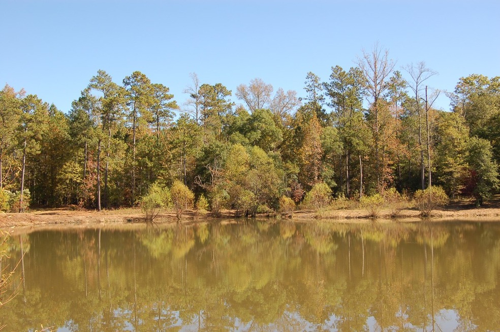 1170 Waterstone Dr, Madison, GA 30650 - photo 1