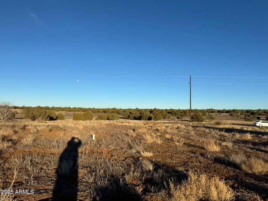 000 White Mountain Lake Rd unit F, Show Low, AZ 85901 - photo 1