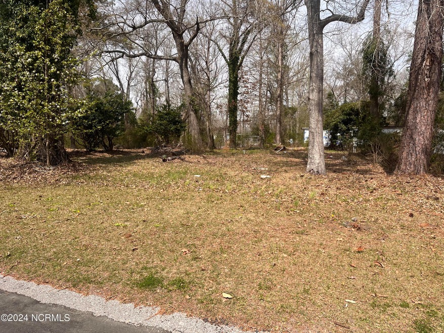 402 Hickory Ct, Jacksonville, NC 28540 - photo 1