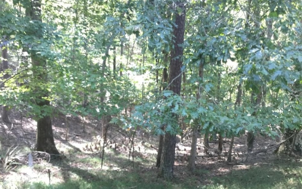 0 Pamela Ct unit 309333, Ellijay, GA 30540 - photo 1