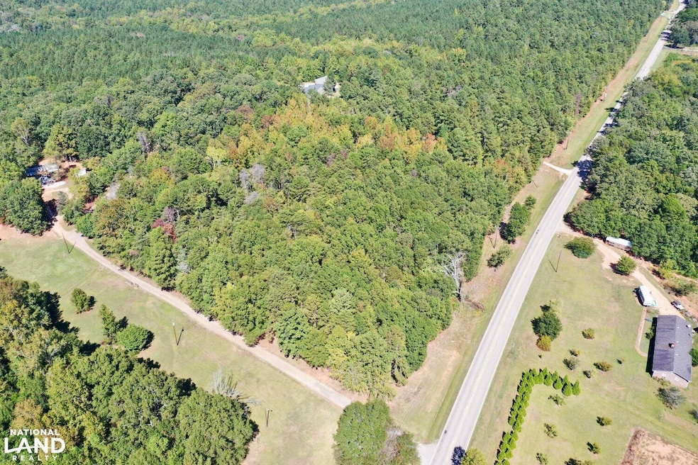 00 Liberty Hwy, Pendleton, SC 29670 - photo 1