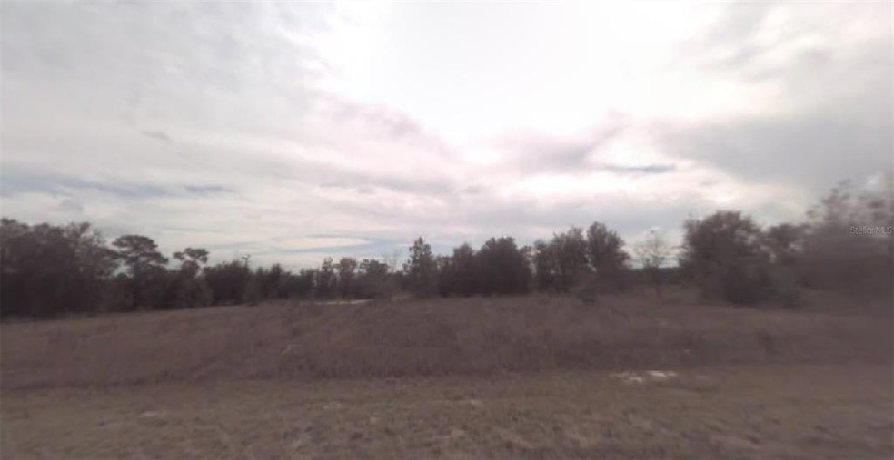 0 Malauka Loop unit MFRO6024979, Ocklawaha, FL 32179 - photo 1