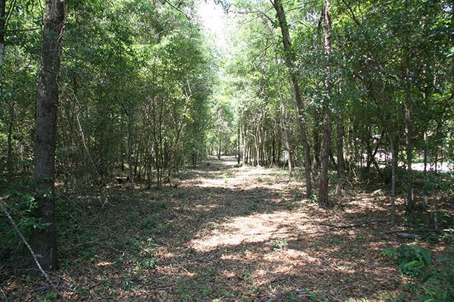 57 Acres
