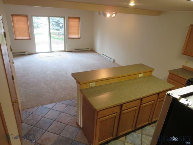 10 Spruce Cone Dr unit 2, Big Sky, MT 59716 - photo 1