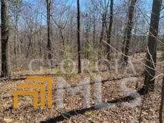 0 Harmon Rd unit 10020966, Temple, GA 30179 - photo 1