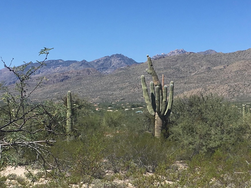 Unobstructed Mtn Views