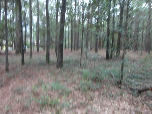 8549 Dawes Lake Rd, Mobile, AL 36619 - photo 1