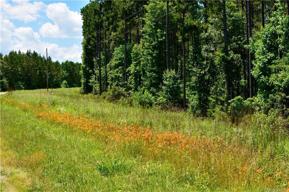 003 Vesuvius Furnace Rd unit 3, Ironton Township, NC 28080 - photo 1