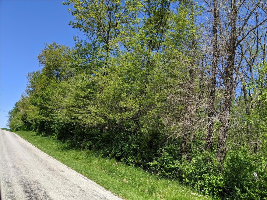 0 Holcomb School Rd, Freeburg, IL 62243 - photo 1